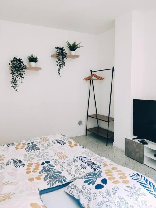 Magnifique Appartement T3 50 M2 Obernai Zewnętrze zdjęcie