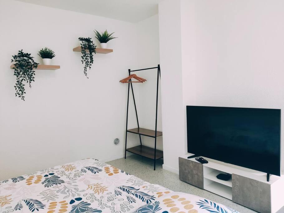 Magnifique Appartement T3 50 M2 Obernai Zewnętrze zdjęcie